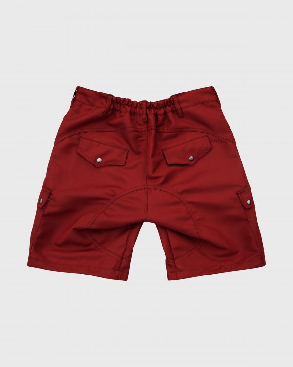 BRAAT Cargo Shorts Brick Back